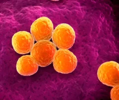 MRSA copy MRSA